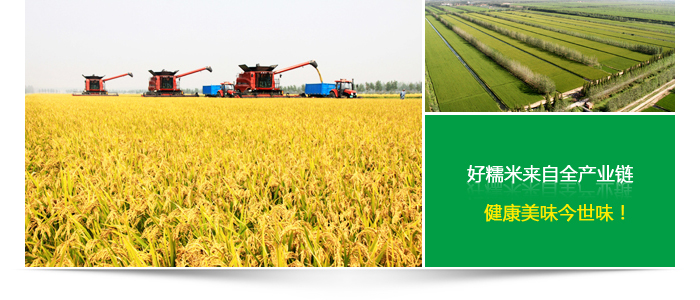 糯米批發(fā)產(chǎn)業(yè)鏈