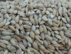 優(yōu)質(zhì)糯米批發(fā)生產(chǎn)加工工藝流程及要求