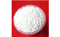 端午節(jié)用粒粒白品牌糯米包粽子
