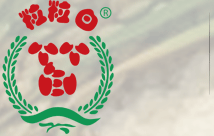 今世味糯米|糯米粉|大米粉加工生產(chǎn)廠家