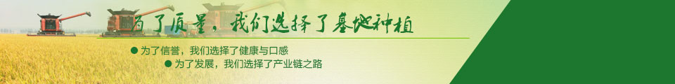 為了質量，我們選擇了基地種植
